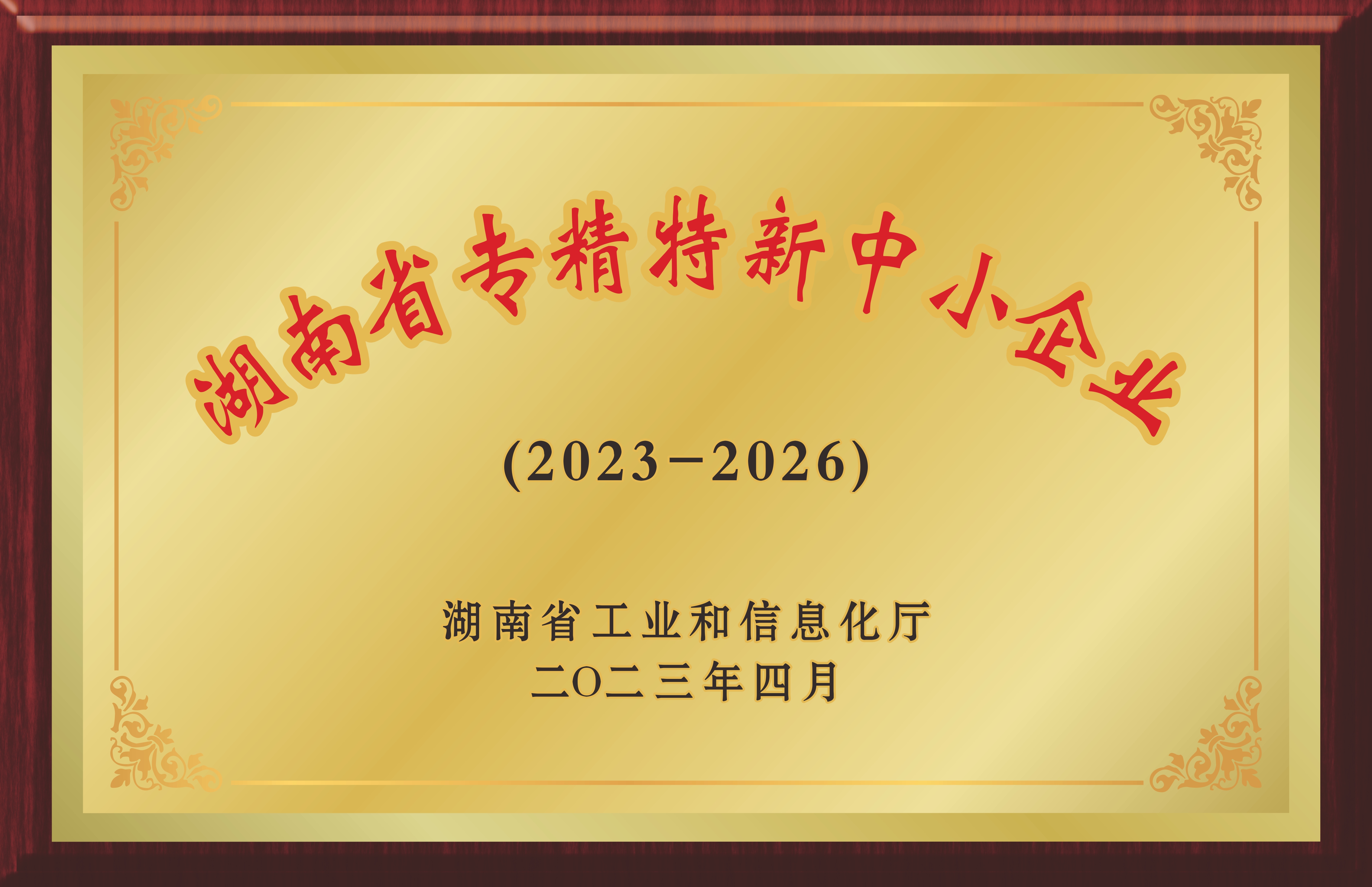 湖南省QY球友会专精特新中小企业